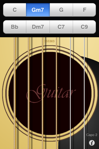 Acoustic Guitar